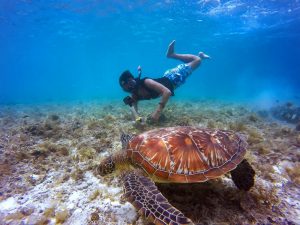 snorkeling co to
