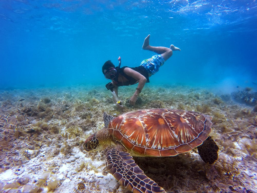 snorkeling co to